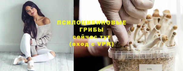 стафф Алексеевка