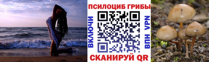 Псилоцибиновые грибы Cubensis  даркнет сайт  Северская 